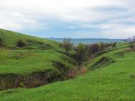 Данилове з panoramio.com