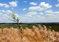 Михайлівка з panoramio.com