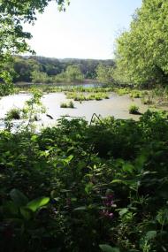 Велика Бурімка з panoramio.com