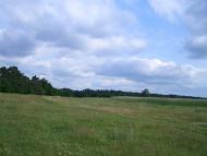 Алтинівка з panoramio.com