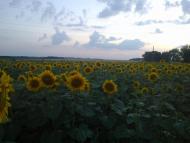 Газове з panoramio.com