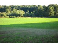 Бужок з panoramio.com