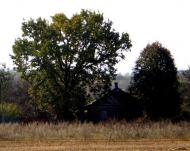 Шевченкове з panoramio.com