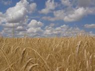 Червоний Орлик з panoramio.com