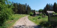 Рудневе з panoramio.com