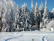 Мігово з panoramio.com