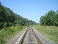 Вороновиця з panoramio.com