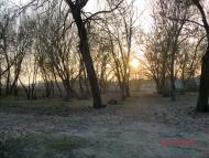 Хащеве з panoramio.com