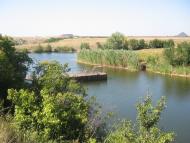 Антракоп з panoramio.com