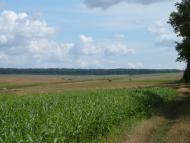 Романове Село з panoramio.com