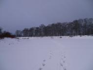 Оболоння з panoramio.com