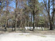 Грушівка з panoramio.com