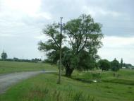 Серкізів з panoramio.com