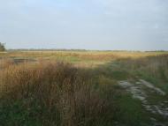 Колом'є з panoramio.com