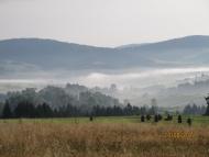 Дністрик-Дубовий з panoramio.com