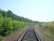 Макарівка з panoramio.com