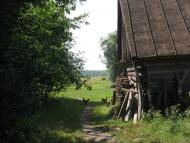 Самари-Оріхові з panoramio.com