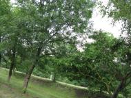 Вила з panoramio.com - Вила