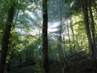 Зарічне з panoramio.com