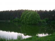 Зноб-Новгородське з panoramio.com