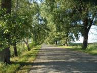 Рибчинці з panoramio.com