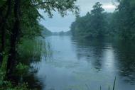 Червоний Донець з panoramio.com - Червоный Донец