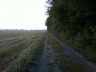 Рівнинне з panoramio.com