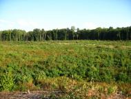 Гончарівка з panoramio.com