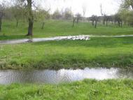 Зуя з panoramio.com