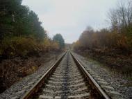 Вільхівчик з panoramio.com