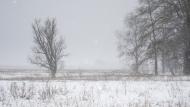 Андріївка з panoramio.com