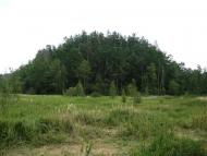 Пиротчине з panoramio.com