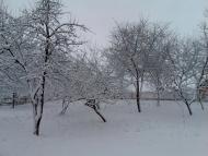 Комсомольське з panoramio.com