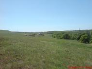 Павлівка з panoramio.com