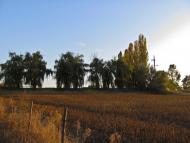 Любимівка з panoramio.com