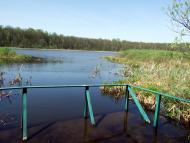 Скулин з panoramio.com