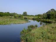 Синичине з panoramio.com - Синичине