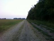 Рівнинне з panoramio.com