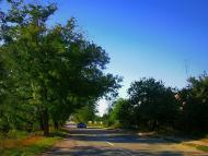 Нововасилівка з panoramio.com