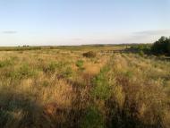 Красний Партизан з panoramio.com