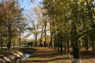 Суворове з panoramio.com