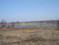 Перлявка з panoramio.com