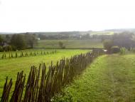 Конів з panoramio.com