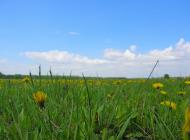 Улянівка з panoramio.com