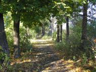 Газове з panoramio.com