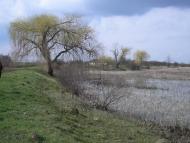 Баркасово з panoramio.com