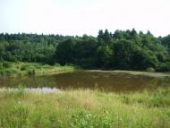 Райнова з panoramio.com