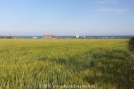 Приморськ з panoramio.com - Приморск
