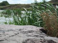 Рогізна з panoramio.com