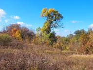 Данилове з panoramio.com